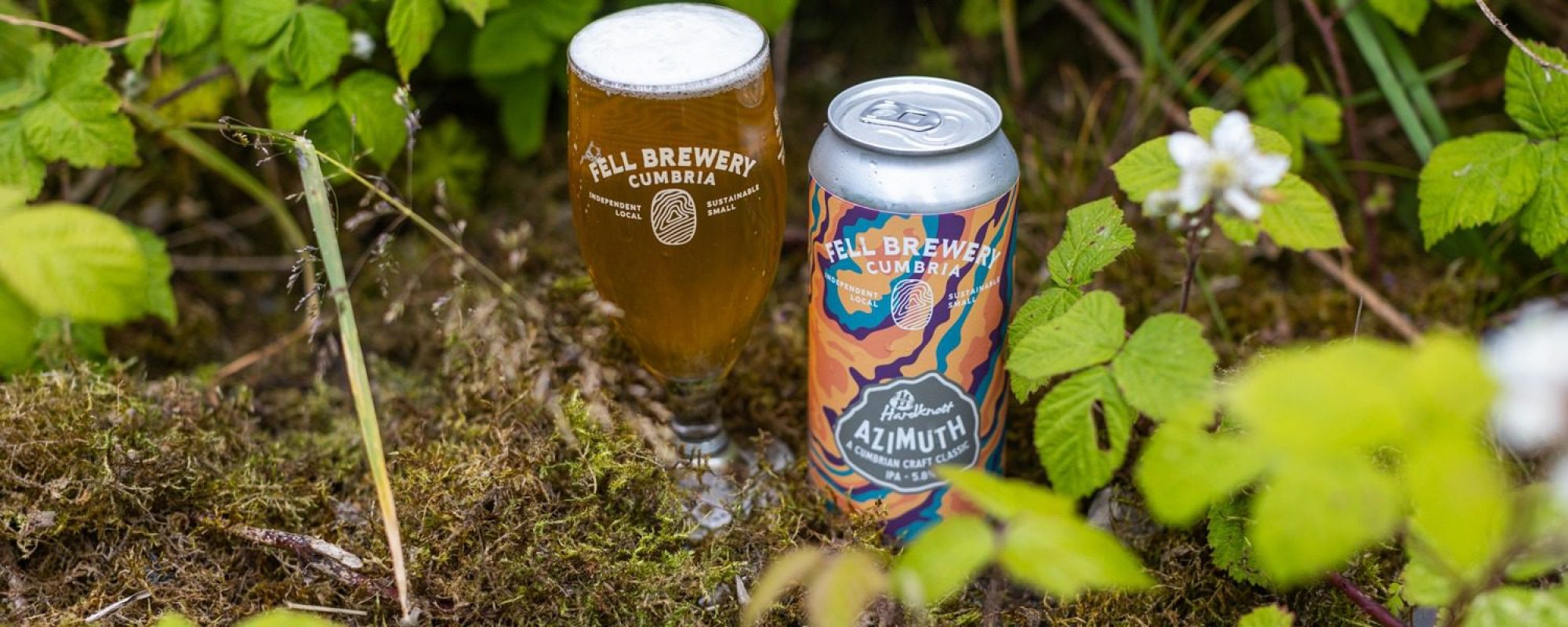SMALL 130624 Fell Cans-29